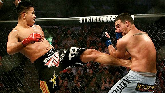 Cung Le