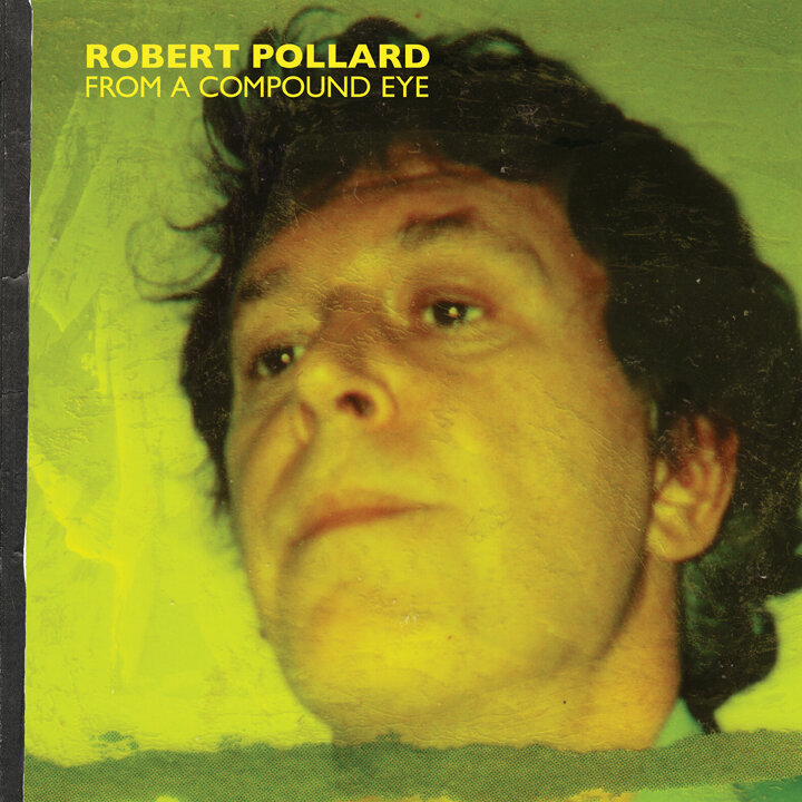 Robert Pollard