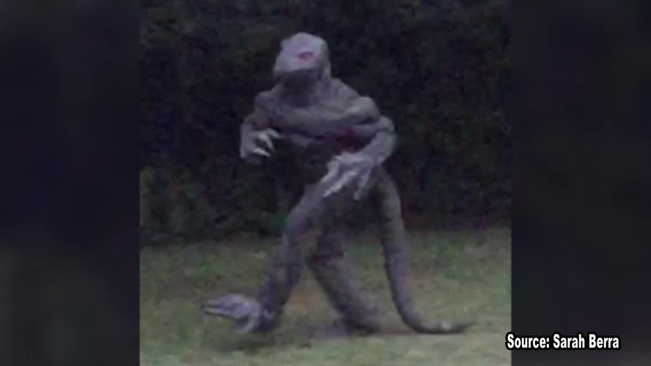 The Lizardman