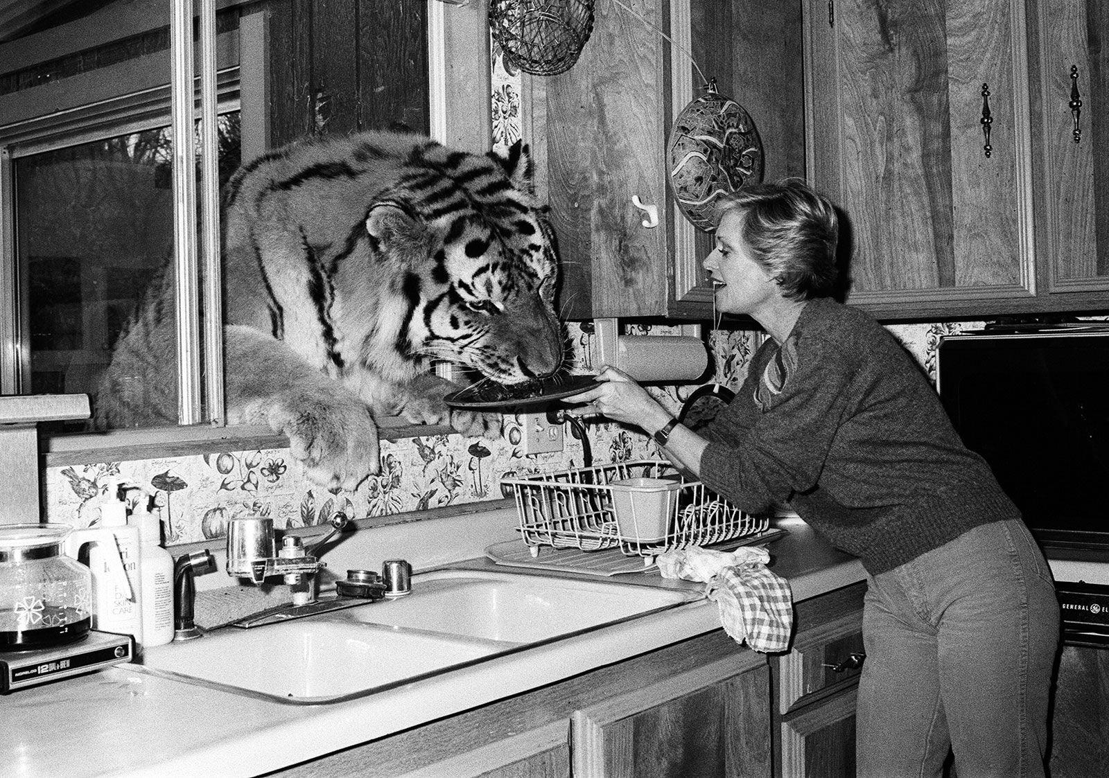Tippi Hedren